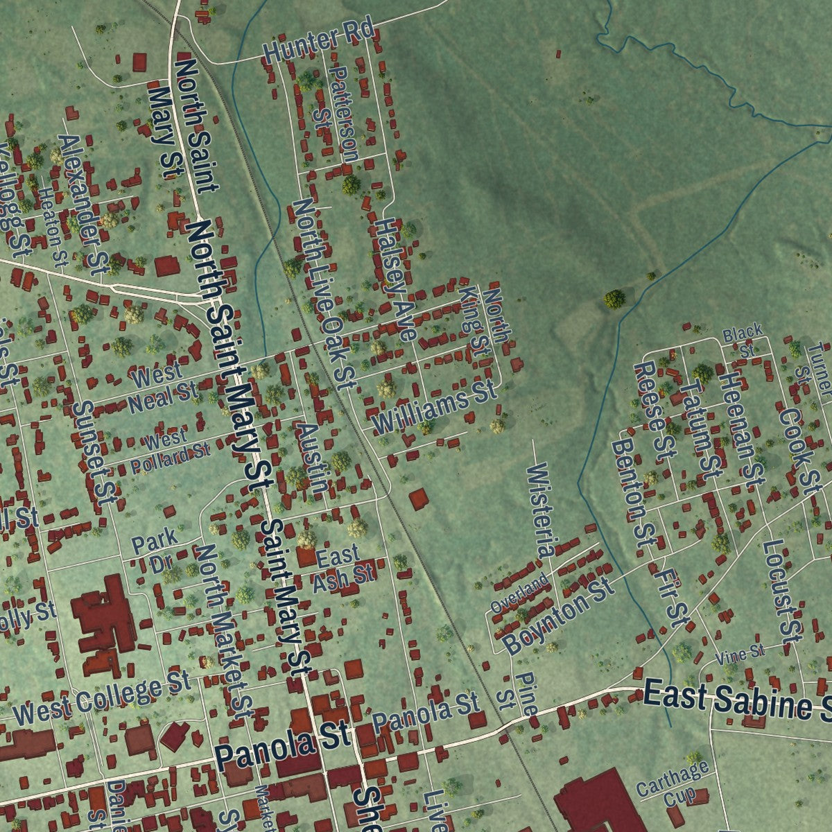 Second close-up of the map of Carthage, Texas print showing more streets and buildings