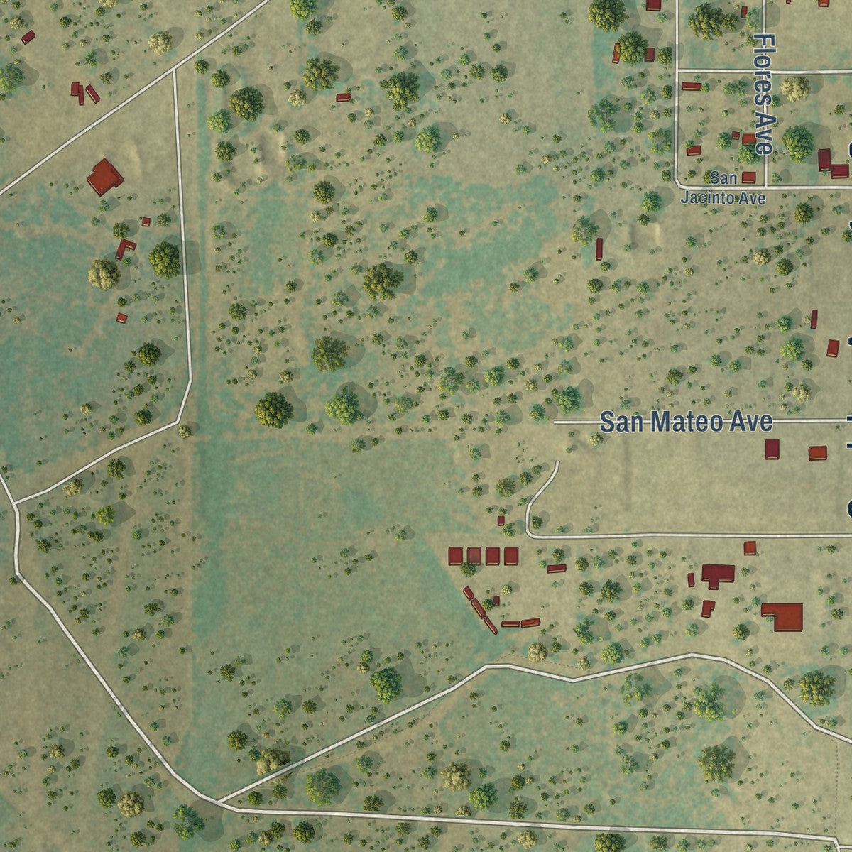 Close-up of the map of Catarina, Texas print showing street and building detail