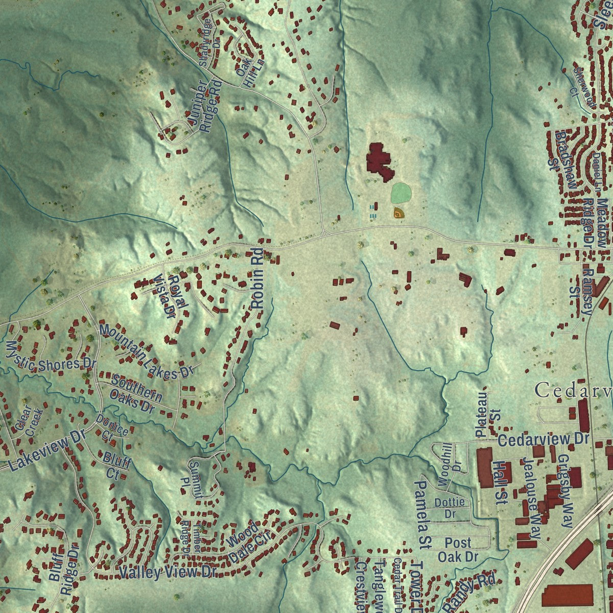 Second close-up of the map of Cedar Hill, Texas print showing more streets and buildings
