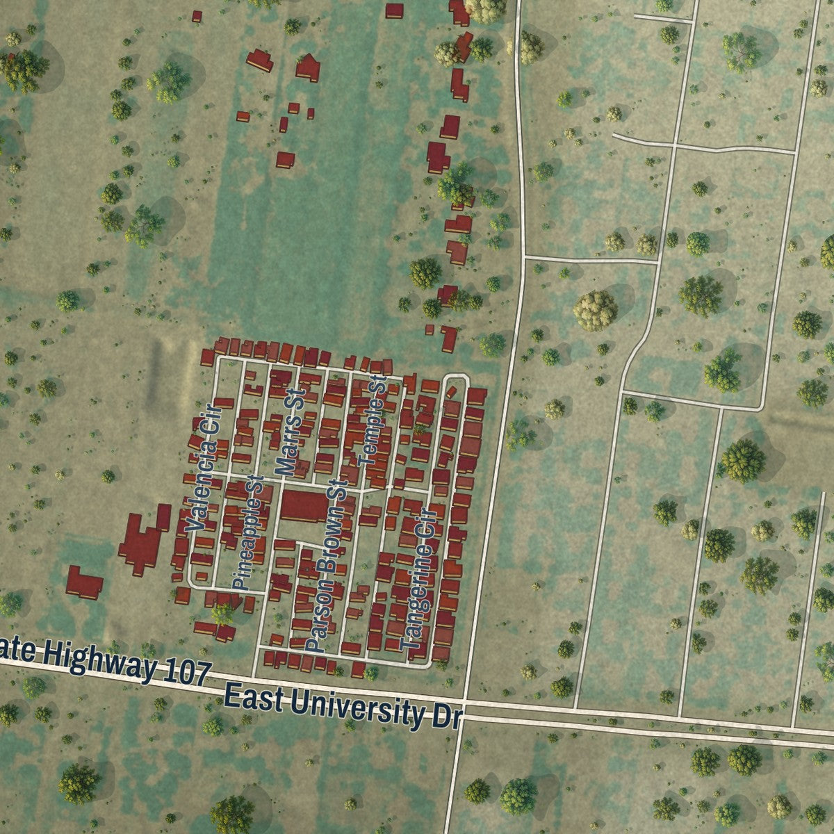 Close-up of the map of César Chávez, Texas print showing street and building detail