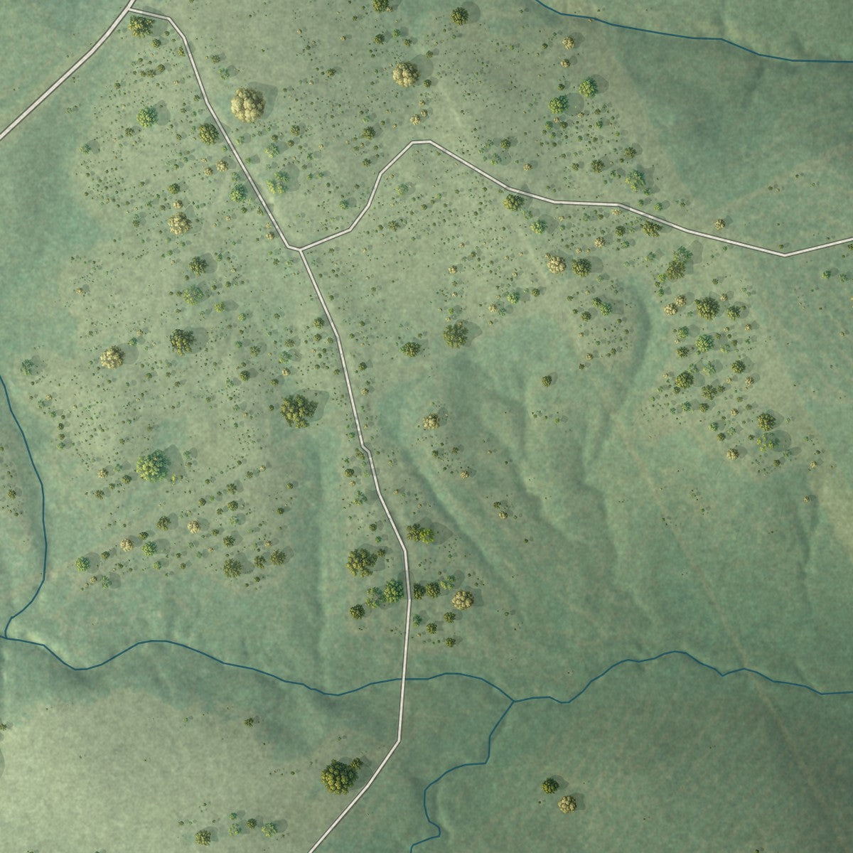 Second close-up of the map of Chester, Texas print showing more streets and buildings