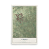 Map of Cibolo, Texas, 12 x 18 inch unframed archival matte print