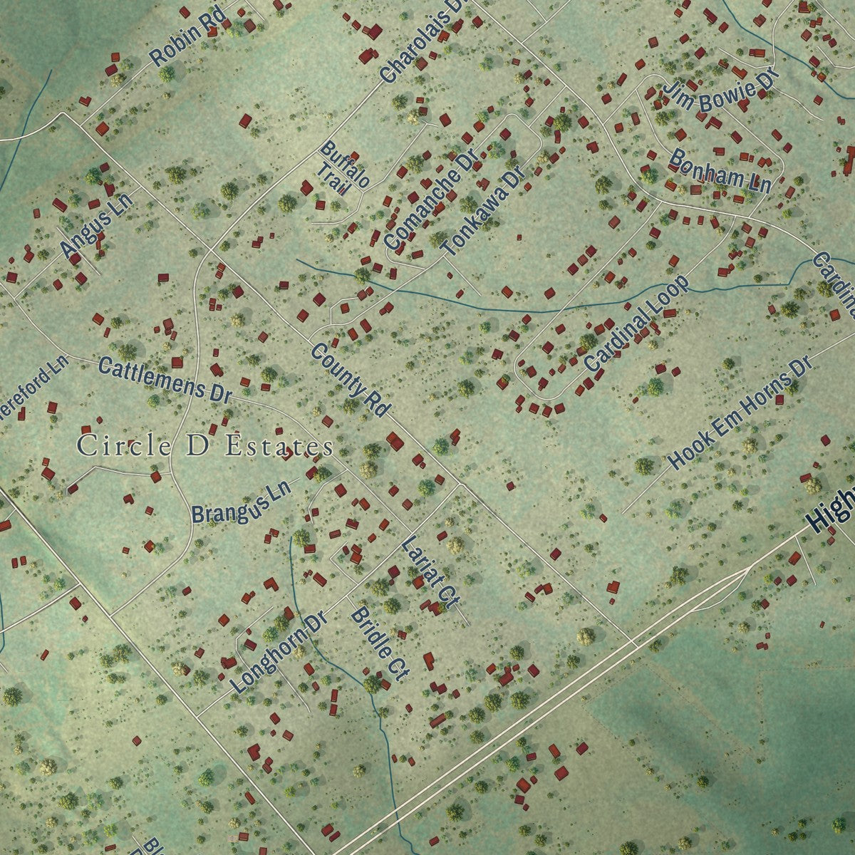 Close-up of the map of Circle D-KC Estates, Texas print showing street and building detail