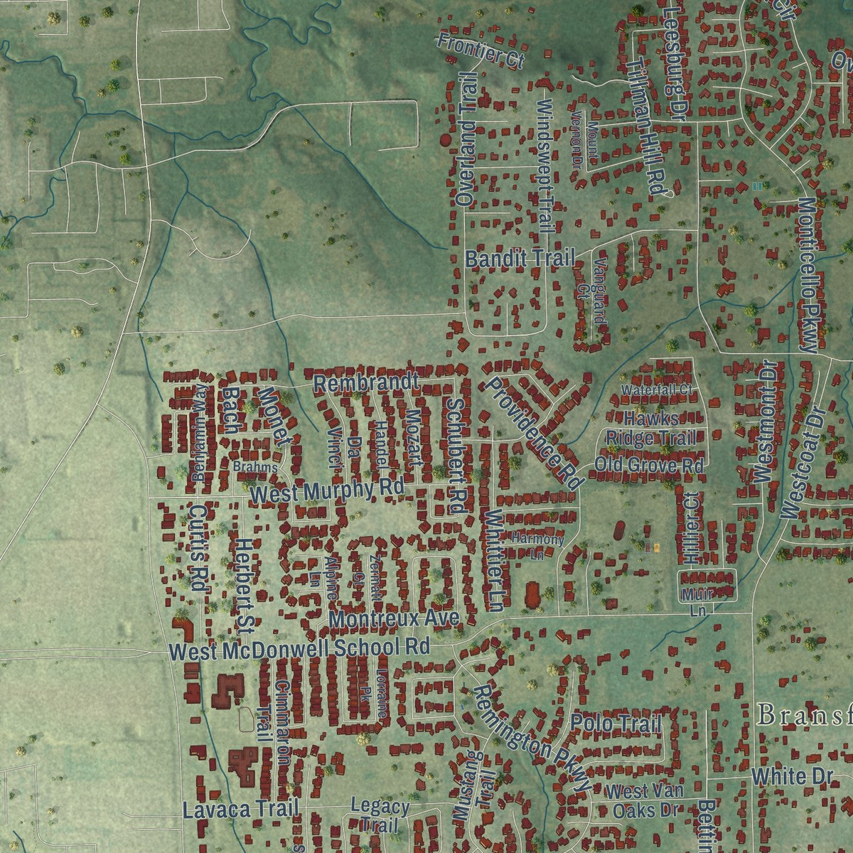Second close-up of the map of Colleyville, Texas print showing more streets and buildings