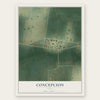 Concepcion, Texas map print, the full design