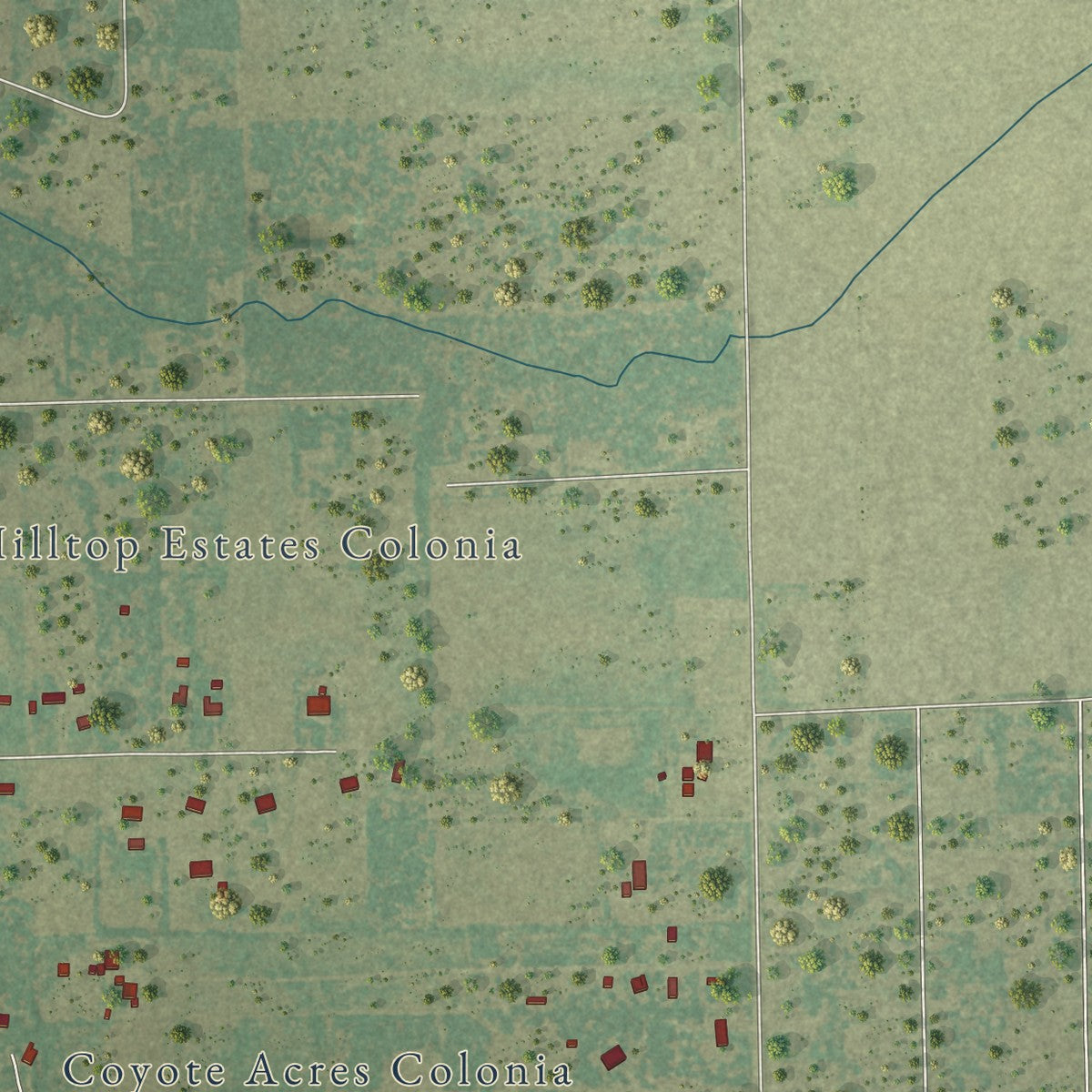 Close-up of the map of Coyote Acres, Texas print showing street and building detail