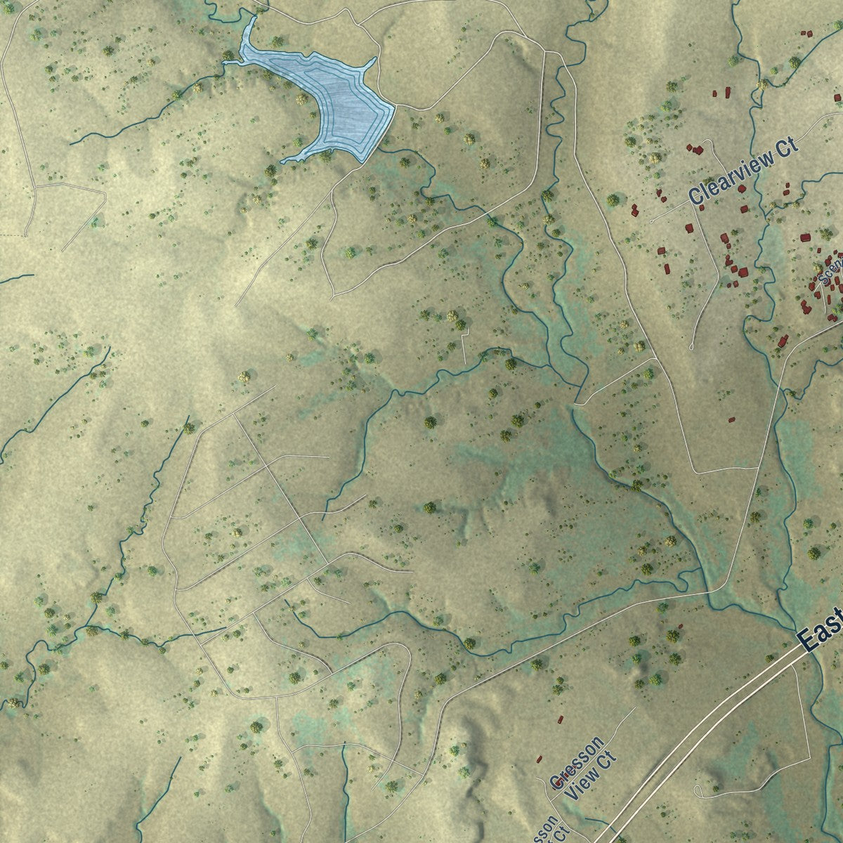 Second close-up of the map of Cresson, Texas print showing more streets and buildings