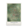 Map of Cross Plains, Texas, 12 x 18 inch unframed archival matte print