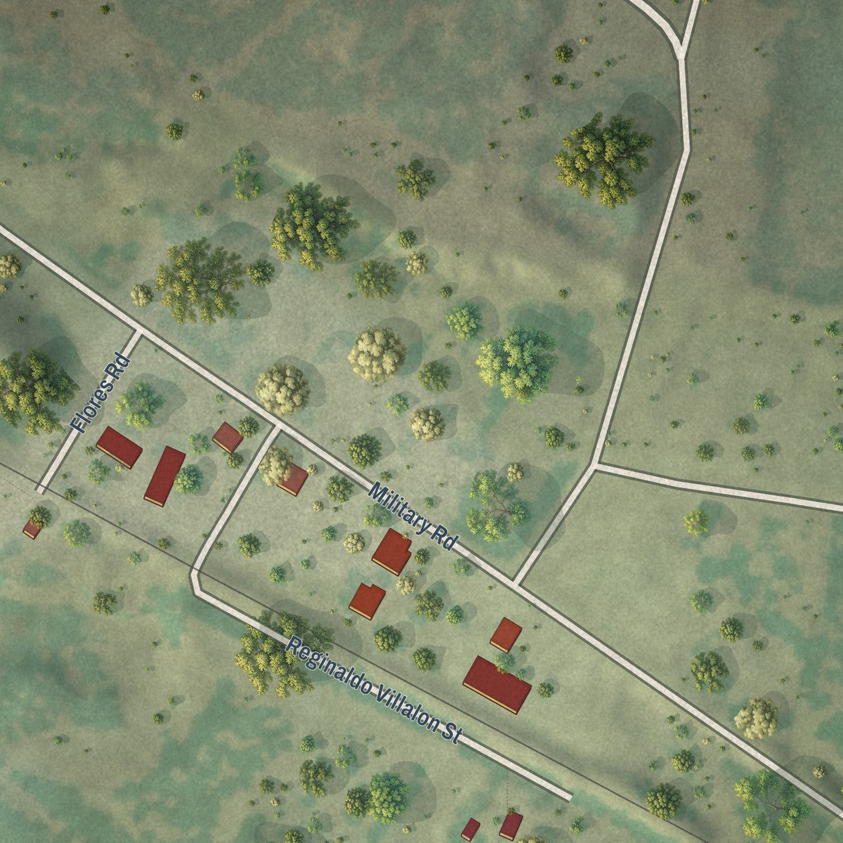Close-up of the map of Cuevitas, Texas print showing street and building detail