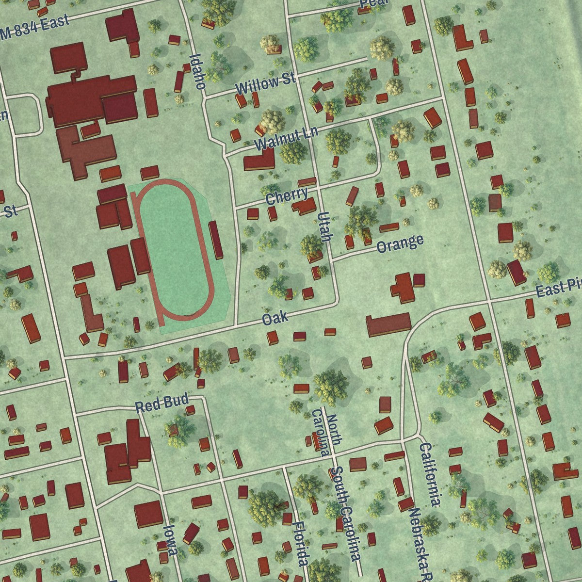 Close-up of the map of Daisetta, Texas print showing street and building detail