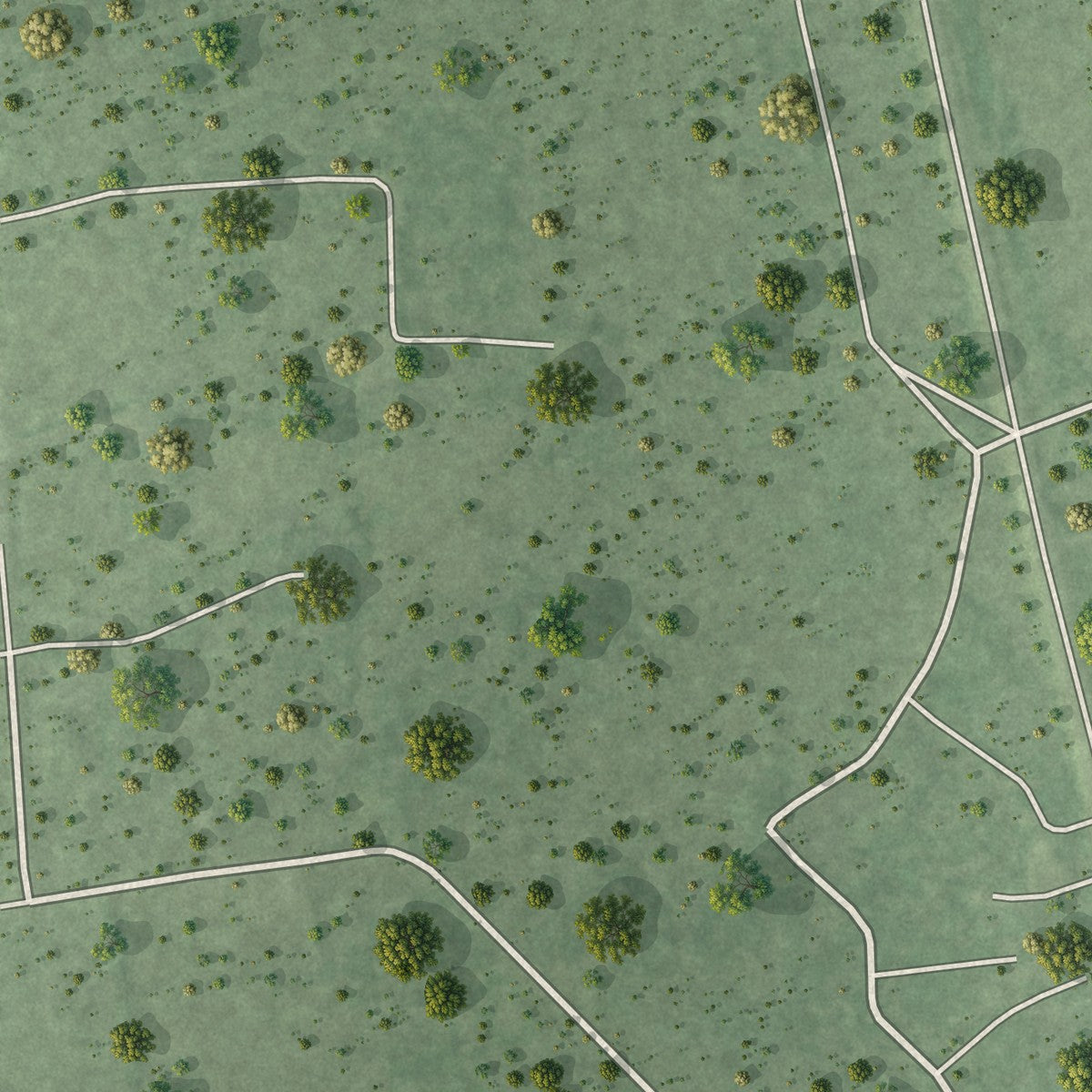 Second close-up of the map of Daisetta, Texas print showing more streets and buildings