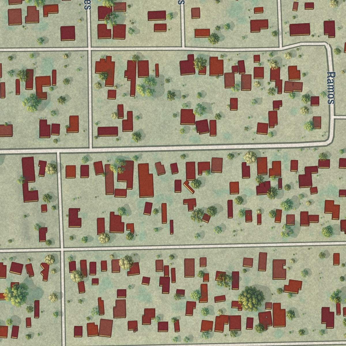 Close-up of the map of El Cenizo, Texas print showing street and building detail