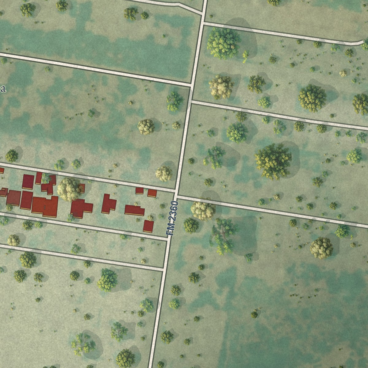 Close-up of the map of El Socio, Texas print showing street and building detail