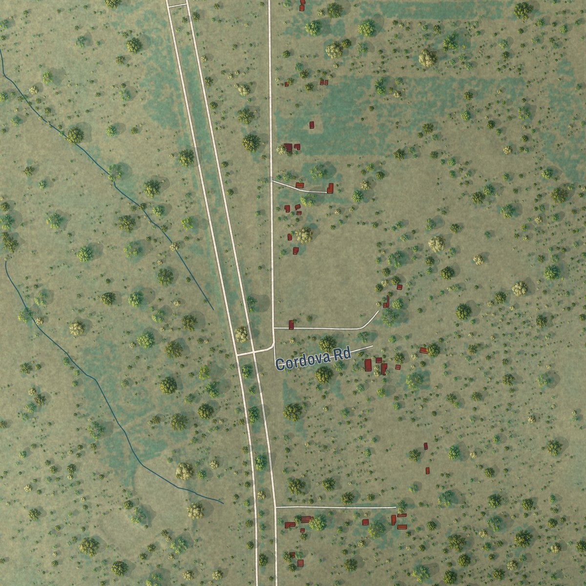 Close-up of the map of Encino, Texas print showing street and building detail