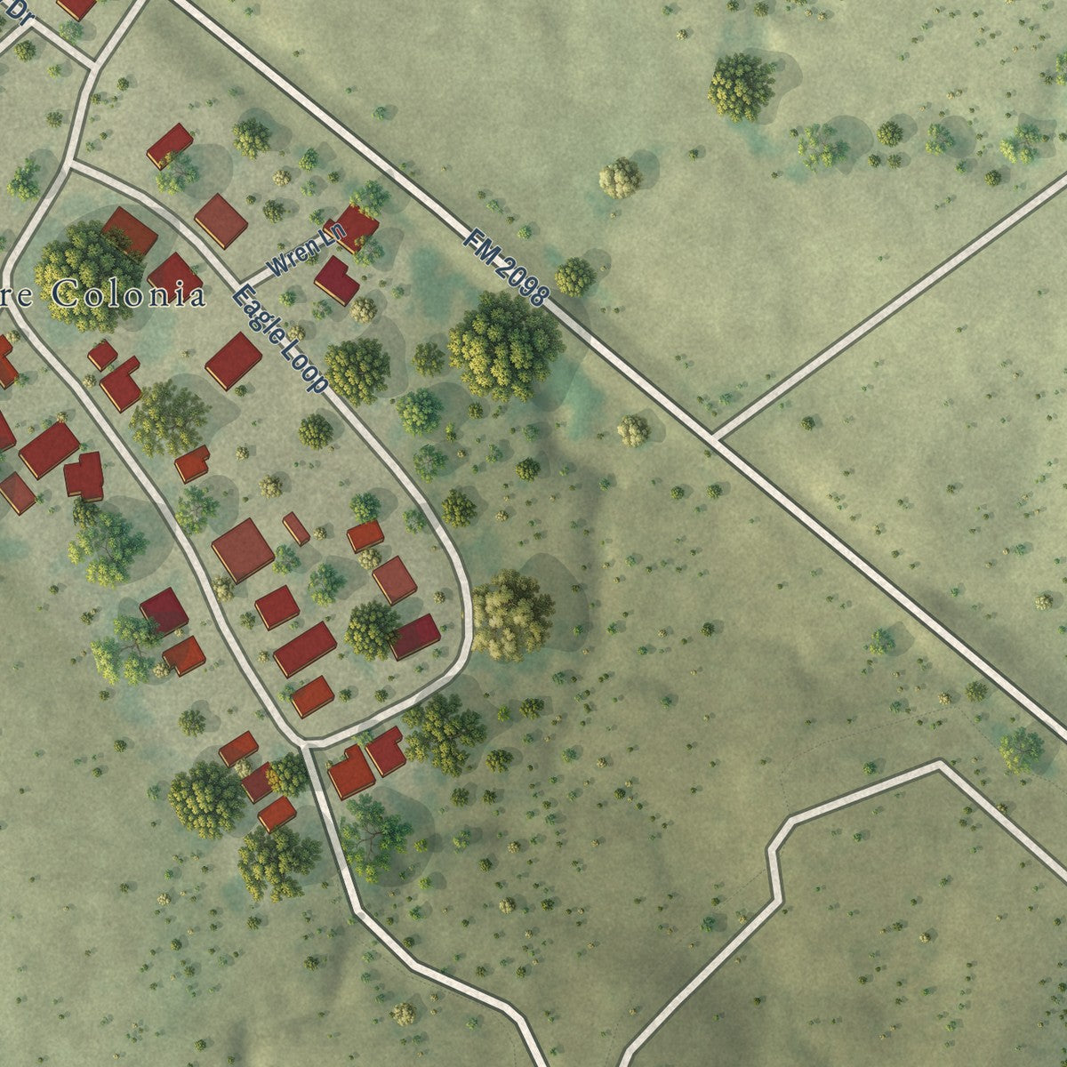 Close-up of the map of Falconaire, Texas print showing street and building detail