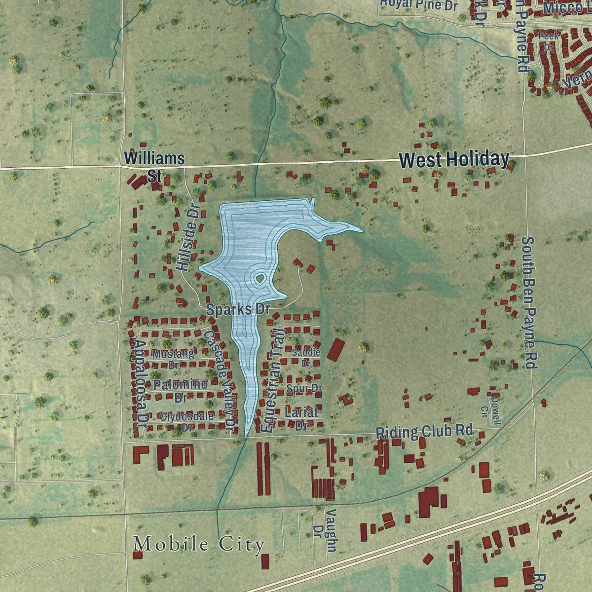 Second close-up of the map of Fate, Texas print showing more streets and buildings