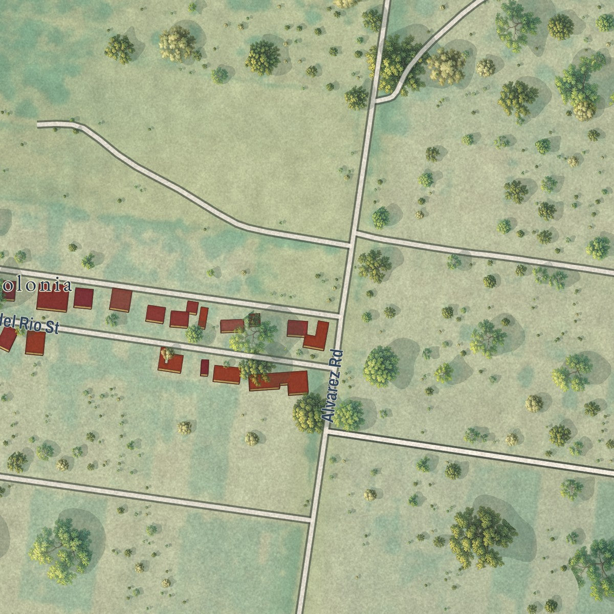 Close-up of the map of Flor del Rio, Texas print showing street and building detail