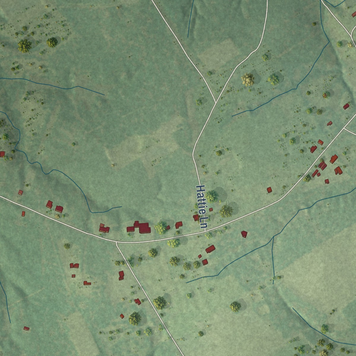 Second close-up of the map of Gary City, Texas print showing more streets and buildings