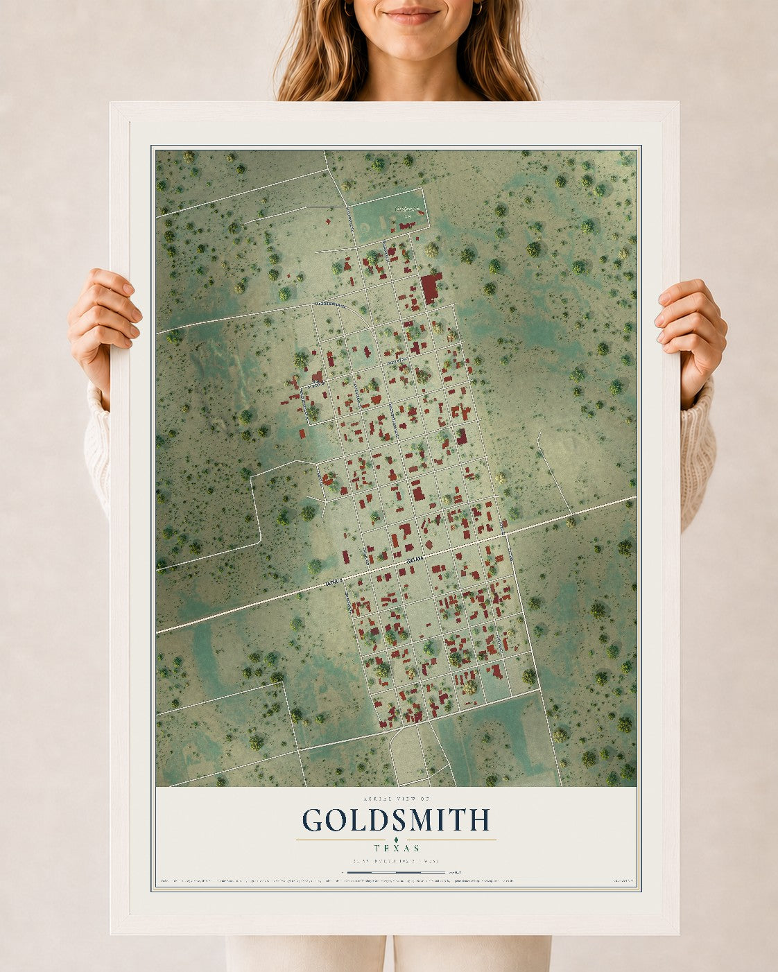 Map of Goldsmith, Texas, 24 x 36 inch print in a white wood frame
