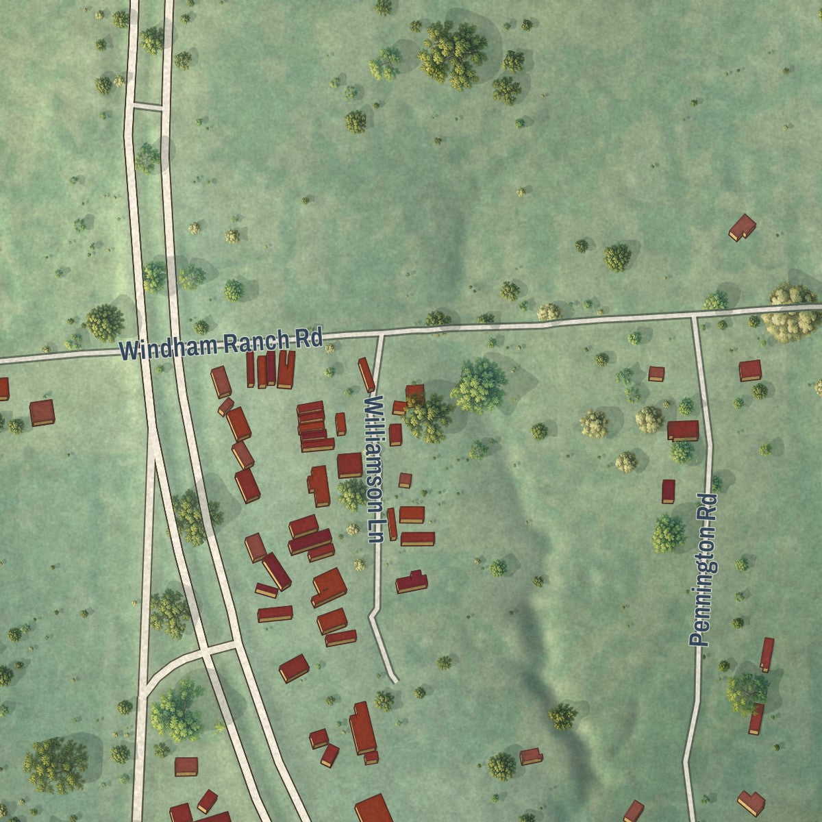 Second close-up of the map of Goodrich, Texas print showing more streets and buildings