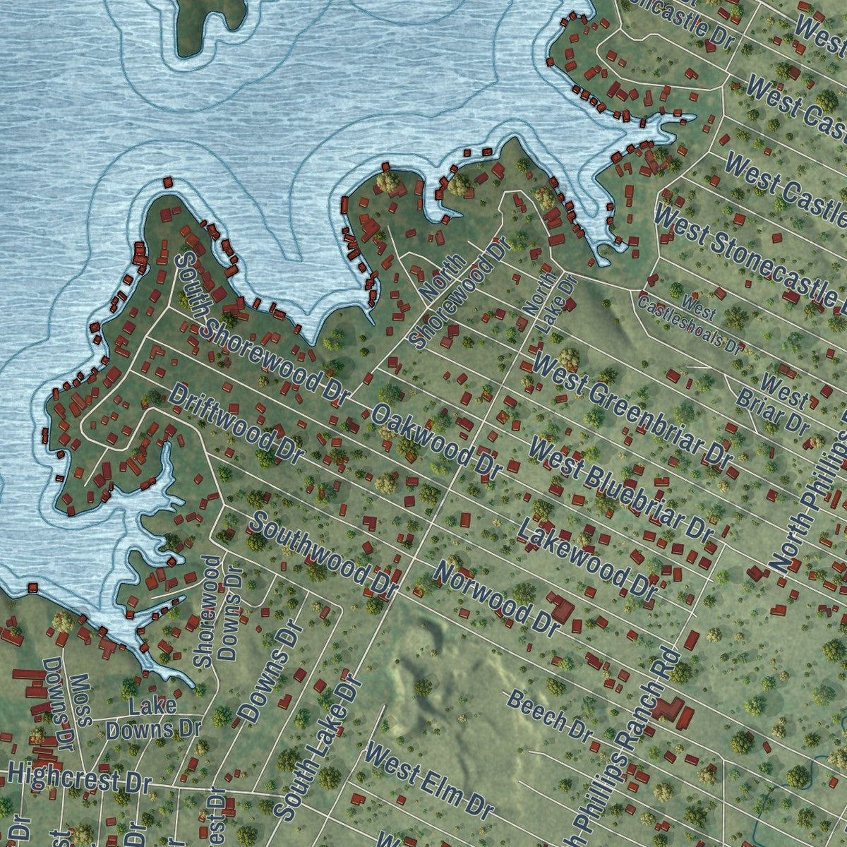 Close-up of the map of Granite Shoals, Texas print showing street and building detail