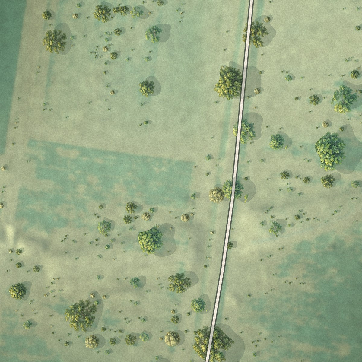Second close-up of the map of Granjeno, Texas print showing more streets and buildings