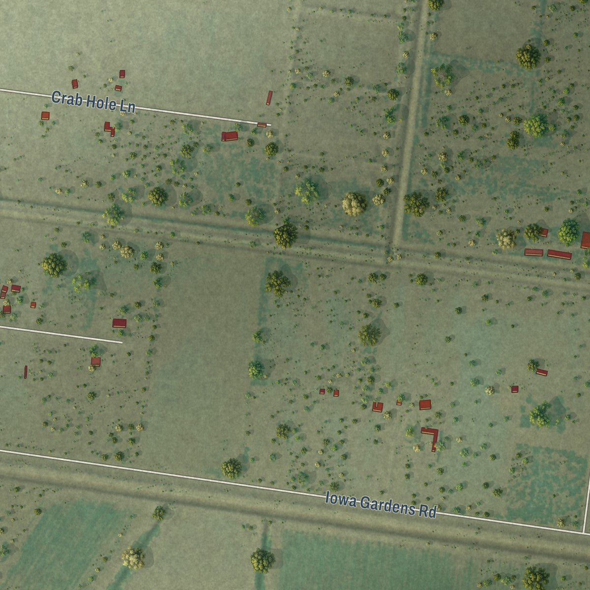 Close-up of the map of Green Valley Farms, Texas print showing street and building detail