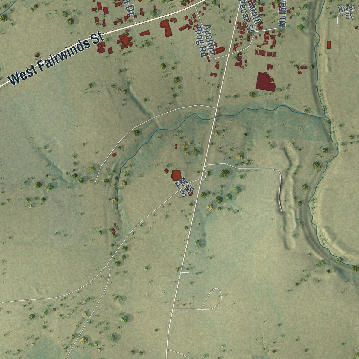 Second close-up of the map of Hallettsville, Texas print showing more streets and buildings