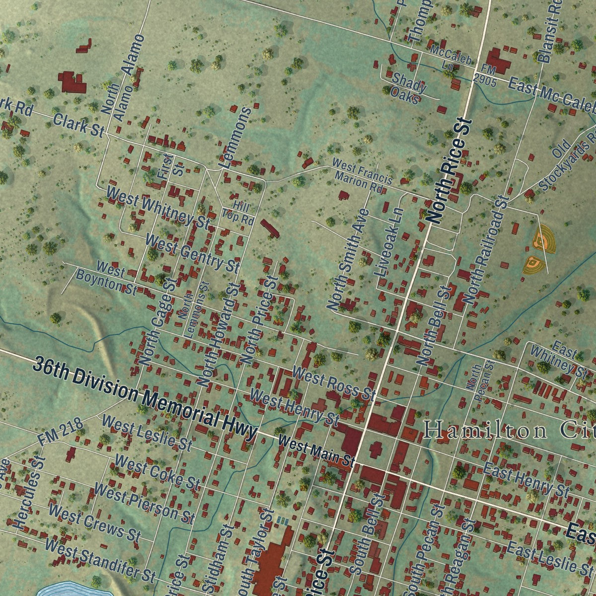 Close-up of the map of Hamilton, Texas print showing street and building detail