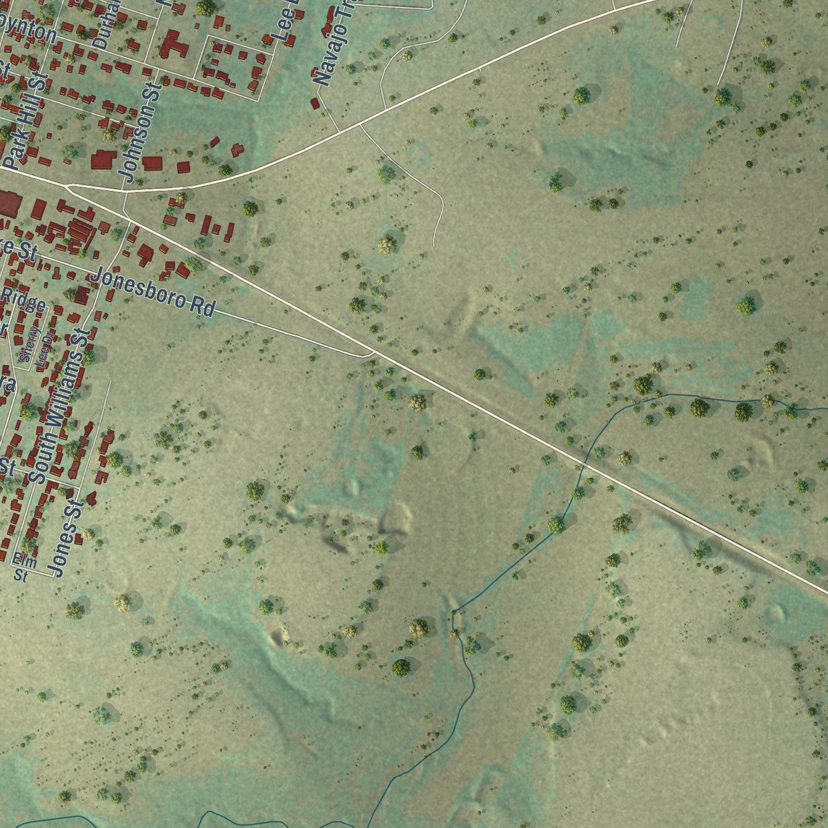 Second close-up of the map of Hamilton, Texas print showing more streets and buildings