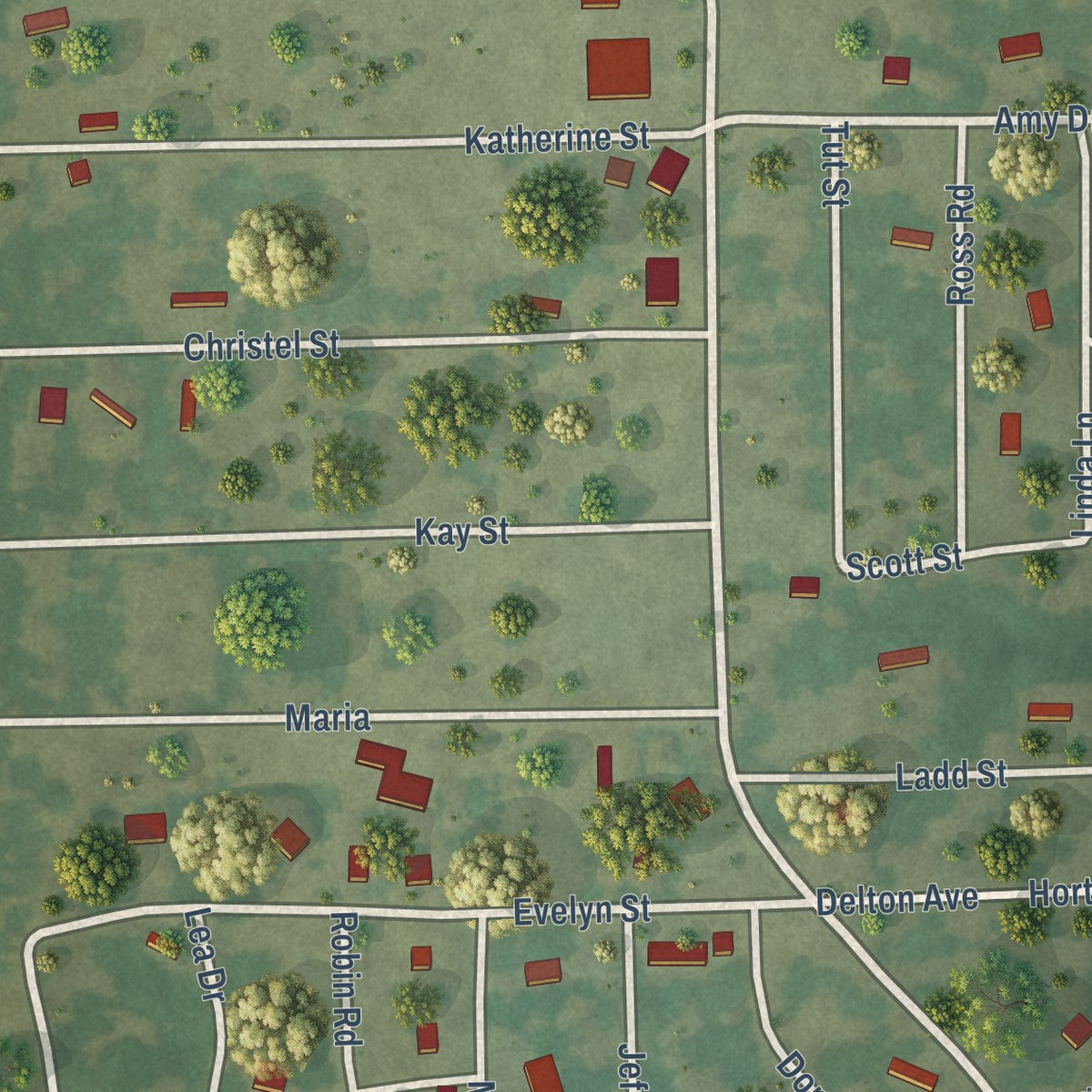 Close-up of the map of Hawk Cove, Texas print showing street and building detail