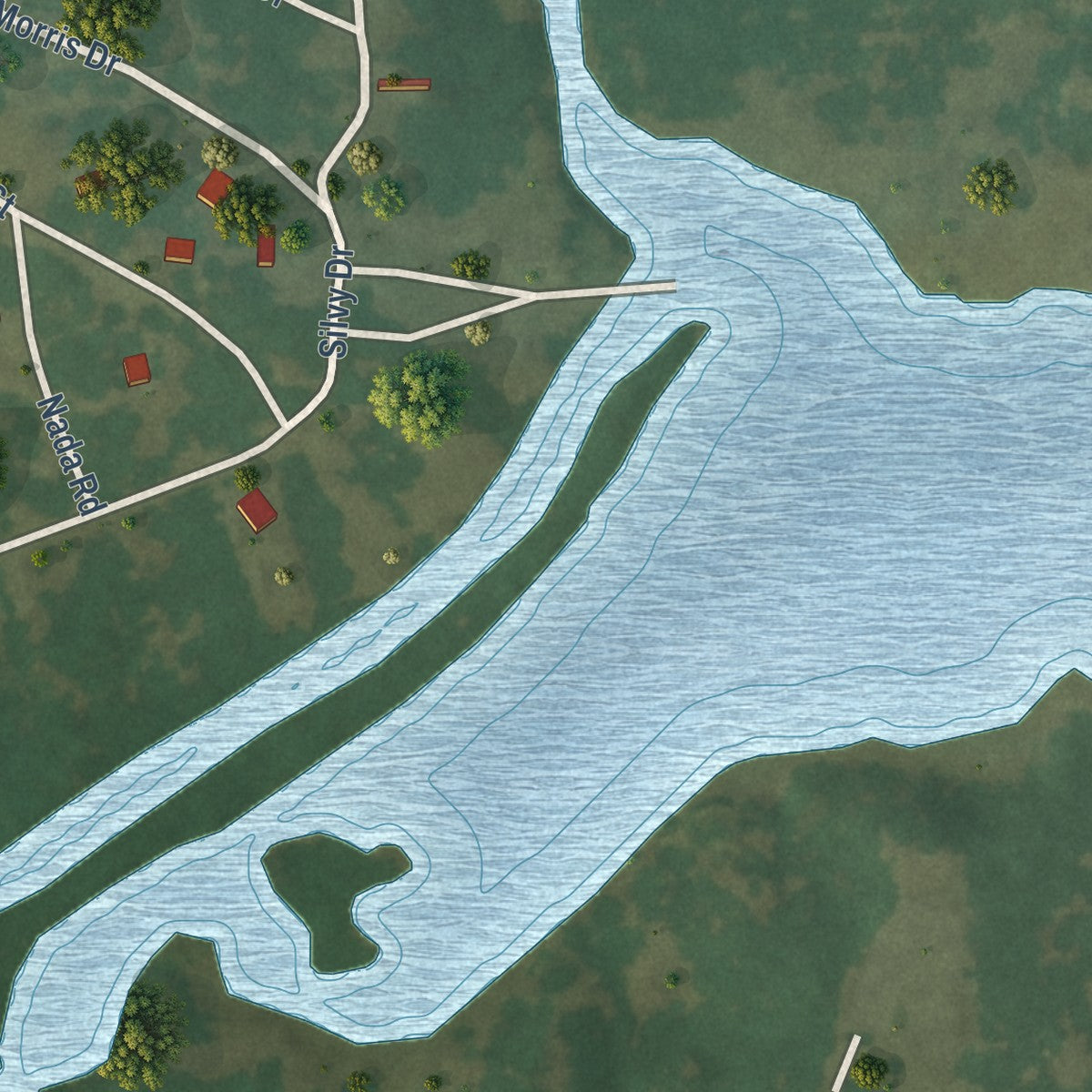 Second close-up of the map of Hawk Cove, Texas print showing more streets and buildings
