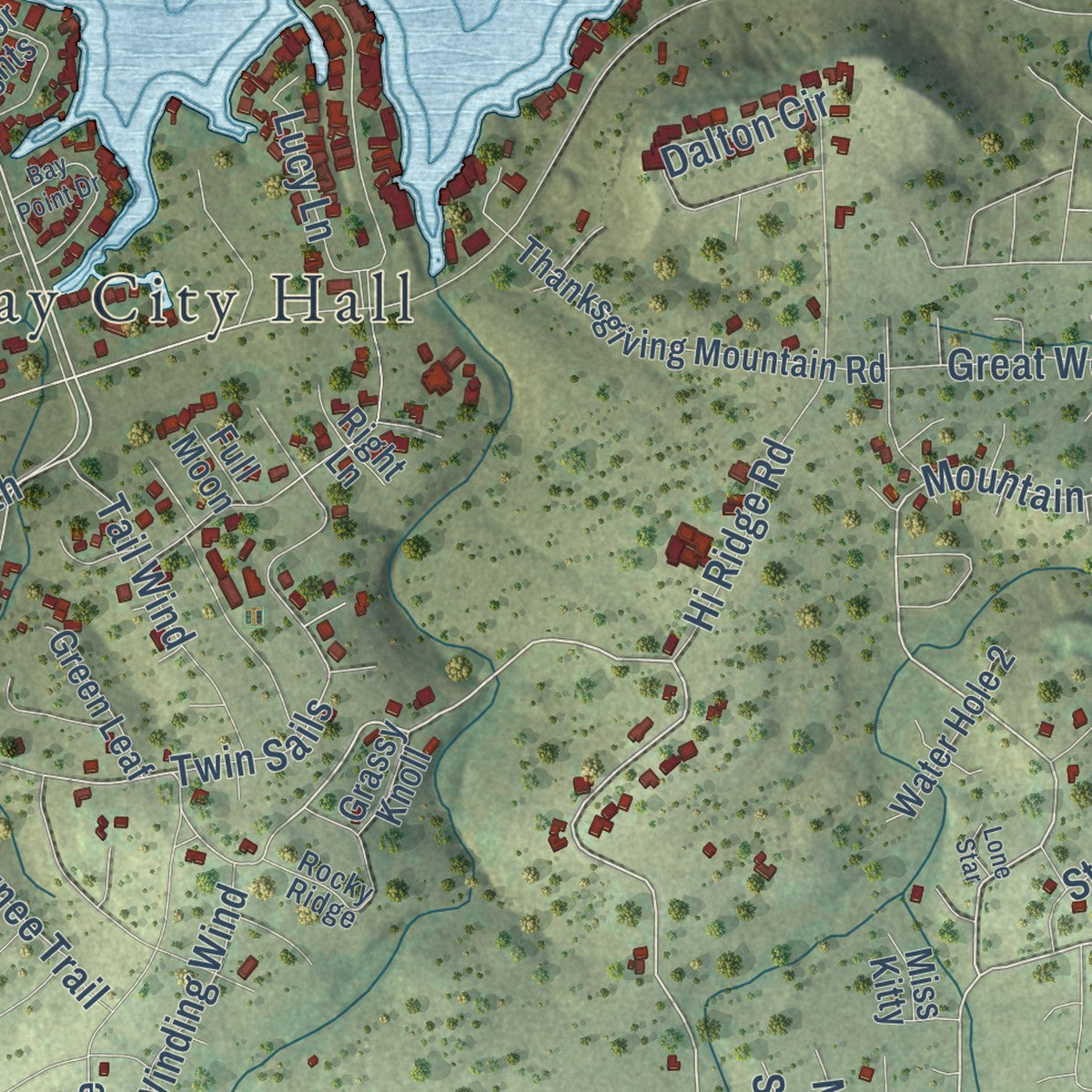 Close-up of the map of Horseshoe Bay, Texas print showing street and building detail