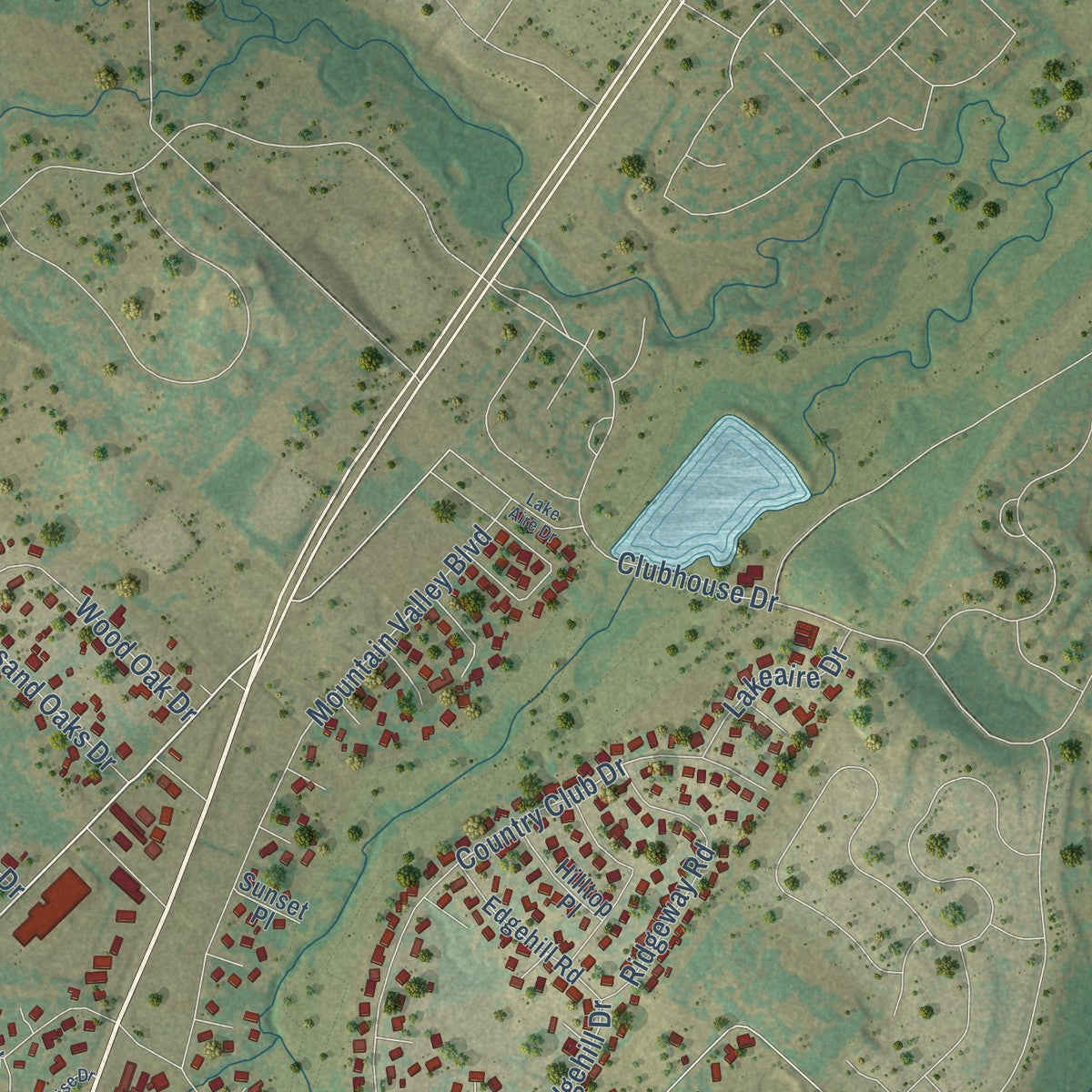 Second close-up of the map of Joshua, Texas print showing more streets and buildings