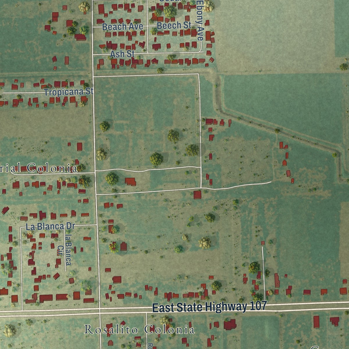 Close-up of the map of La Blanca, Texas print showing street and building detail