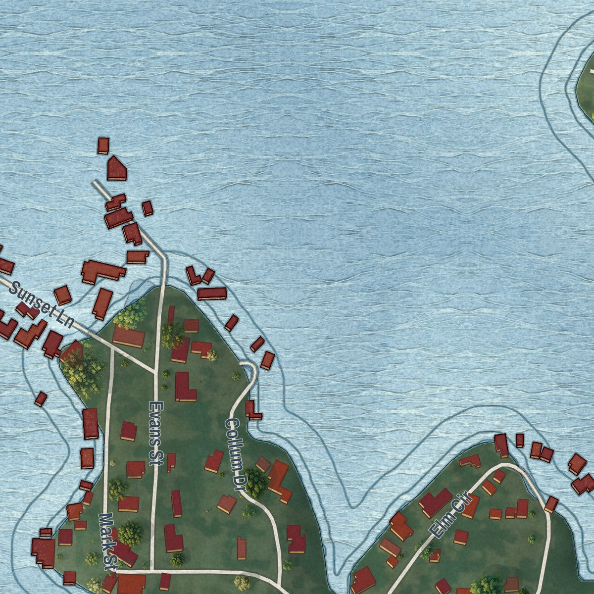 Close-up of the map of Lake Bridgeport, Texas print showing street and building detail