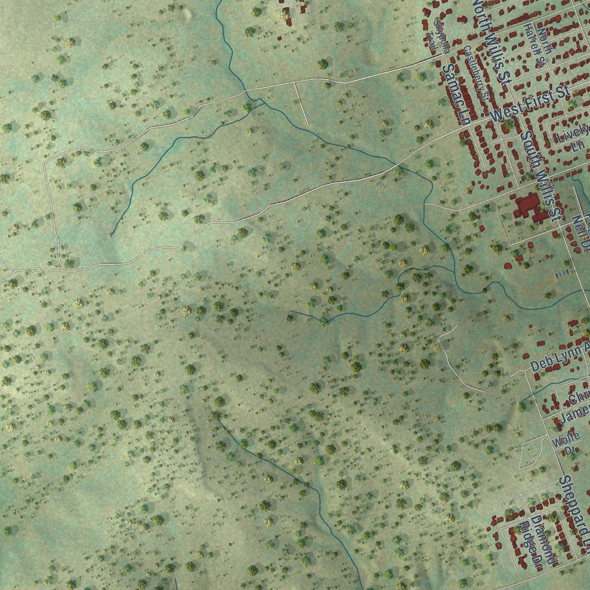 Second close-up of the map of Lampasas, Texas print showing more streets and buildings