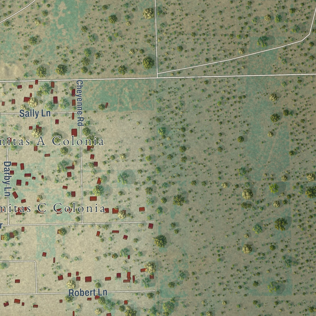 Close-up of the map of Las Lomitas, Texas print showing street and building detail
