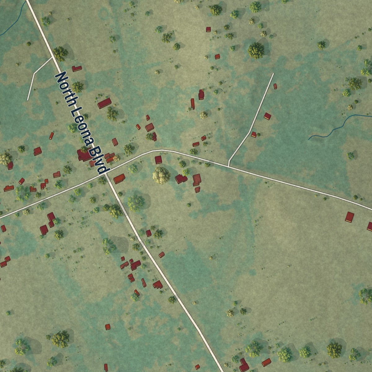 Second close-up of the map of Leona, Texas print showing more streets and buildings