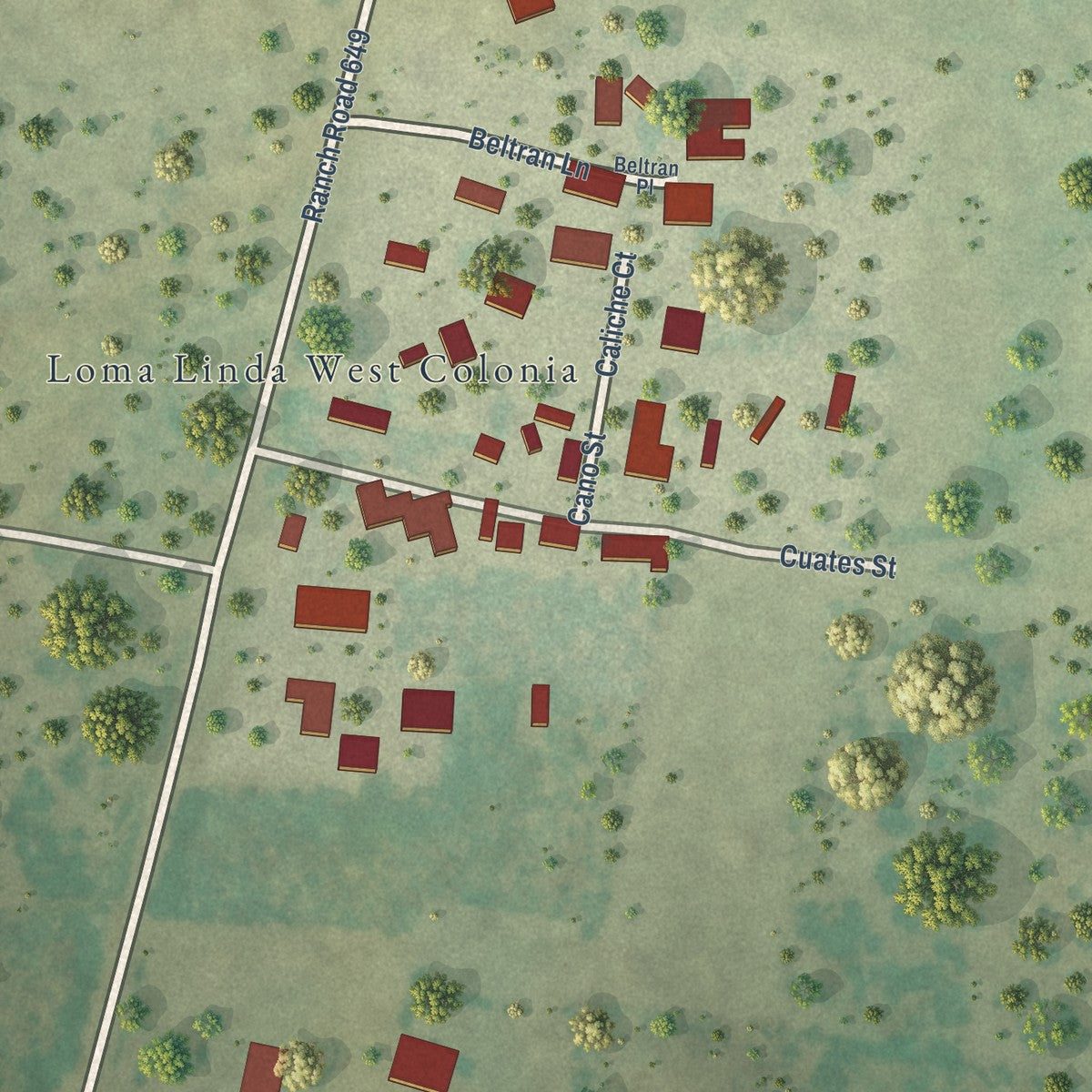 Close-up of the map of Loma Linda West, Texas print showing street and building detail