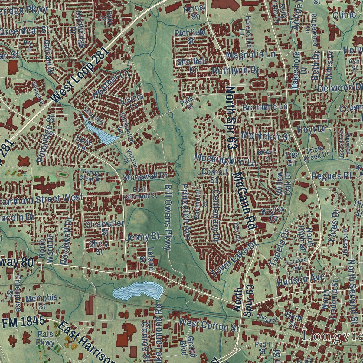 Close-up of the map of Longview, Texas print showing street and building detail