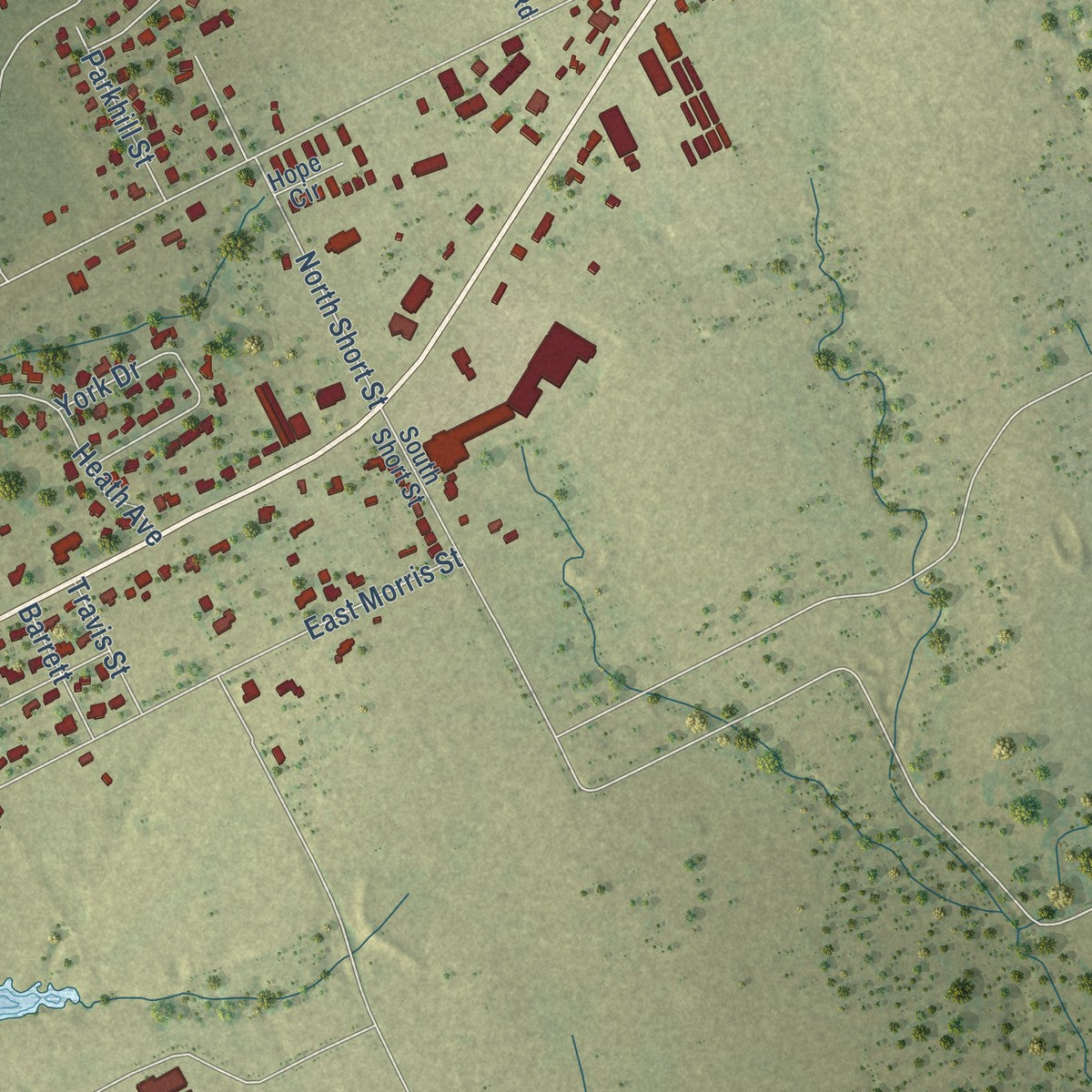 Second close-up of the map of Madisonville, Texas print showing more streets and buildings