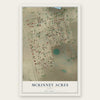 McKinney Acres, Texas map print, the full design