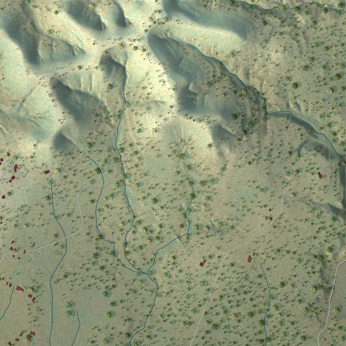 Close-up of the map of Medina, Bandera County, Texas print showing street and building detail