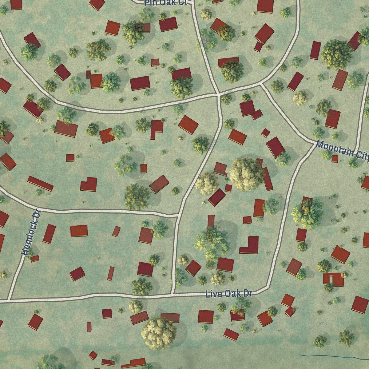 Close-up of the map of Mountain City, Texas print showing street and building detail