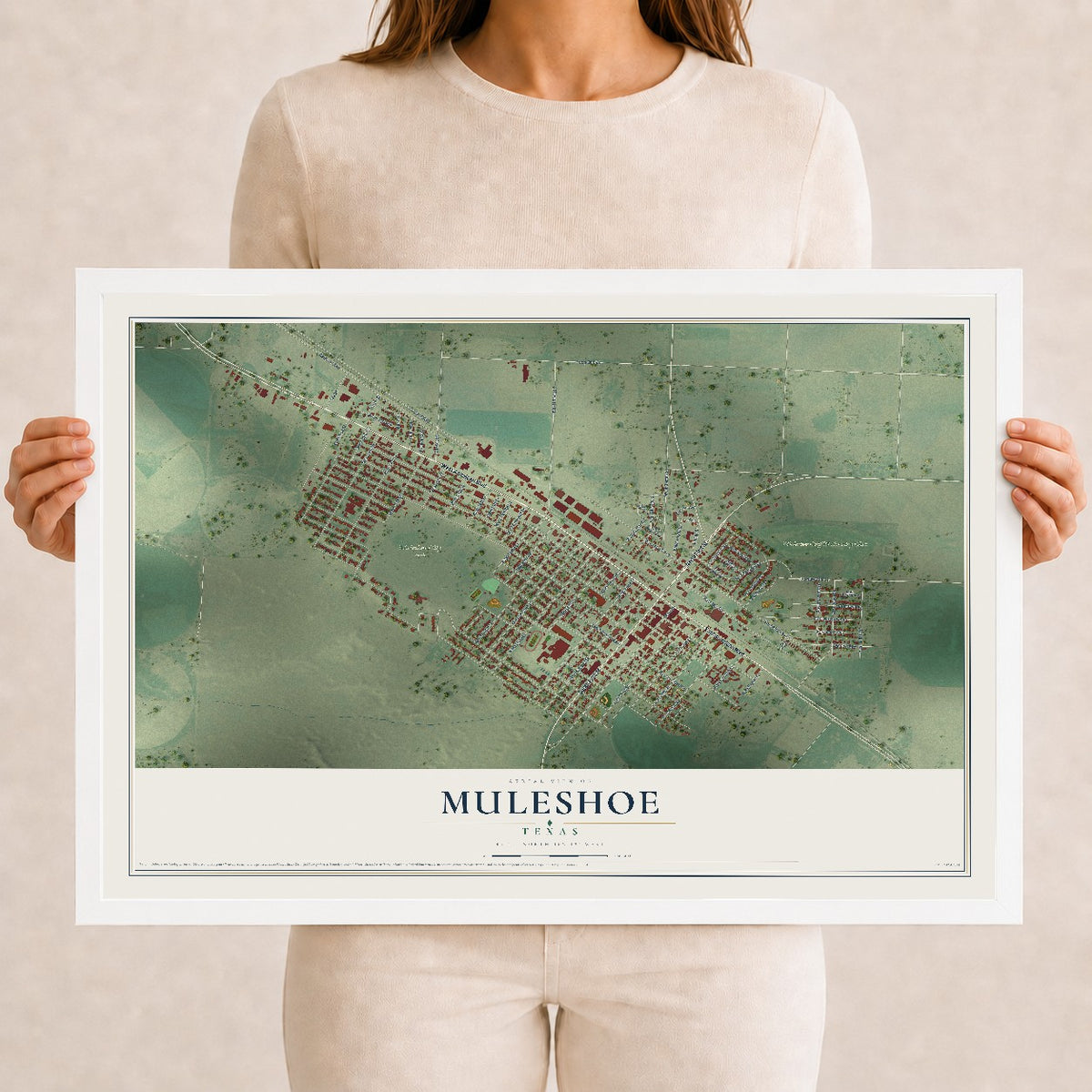 Map of Muleshoe, Texas, 12 x 18 inch print in a white wood frame