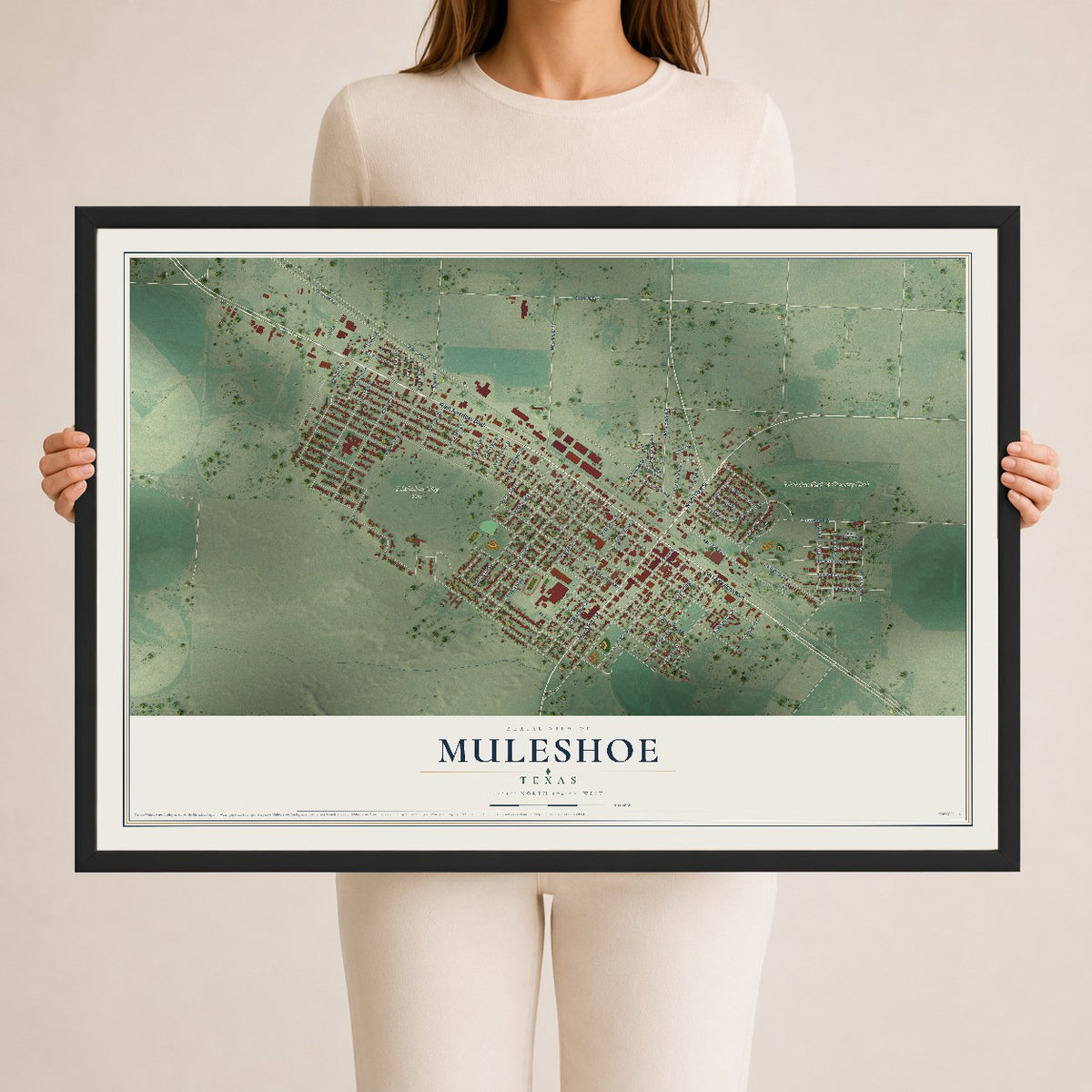 Map of Muleshoe, Texas, 24 x 36 inch print in a black wood frame