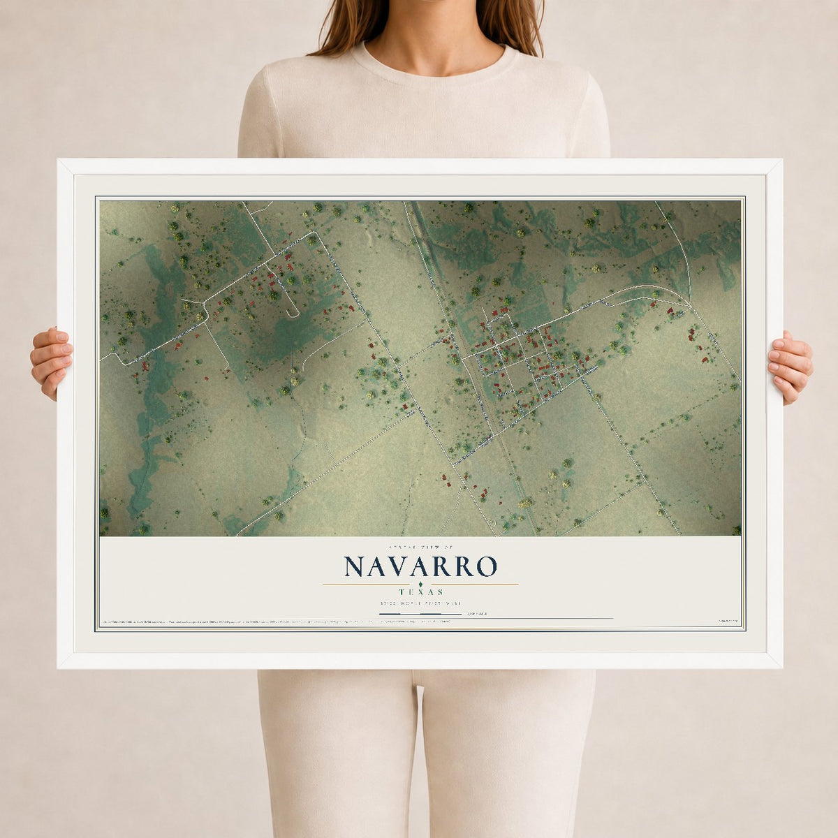 Map of Navarro, Texas, 24 x 36 inch print in a white wood frame