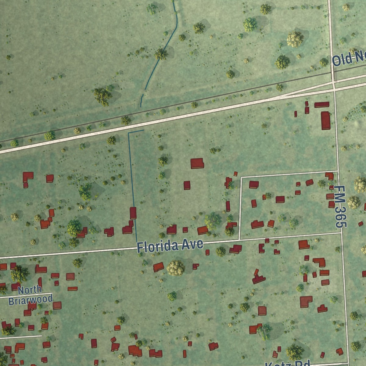 Close-up of the map of Nome, Texas print showing street and building detail