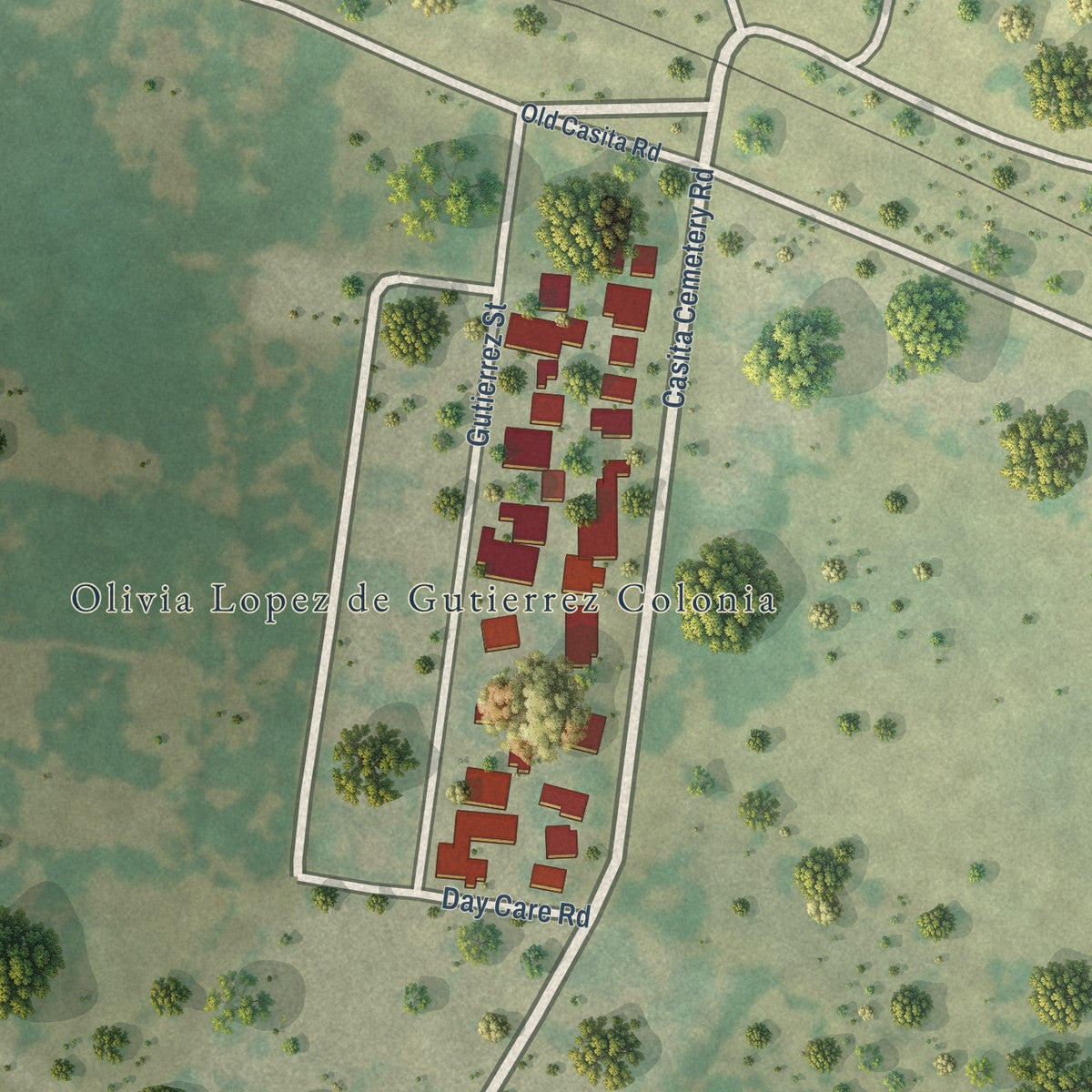 Close-up of the map of Olivia Lopez de Gutierrez, Texas print showing street and building detail